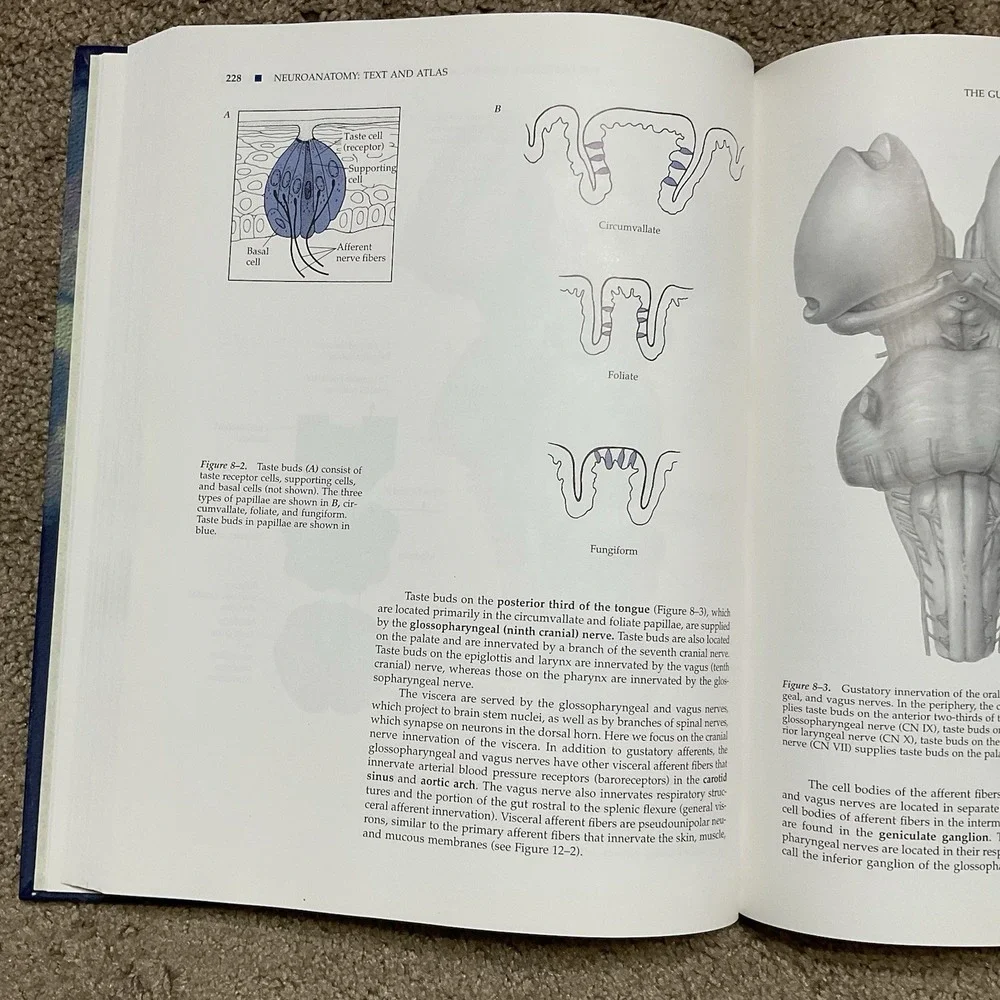 Neuroanatomy‎ Atlas John H. Martin Text And Atlas Second Edition